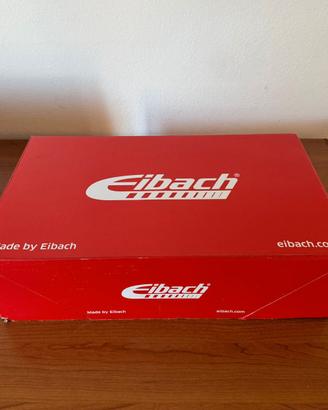 Molle Eibach Golf 5/6