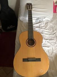 Chitarra Shiver