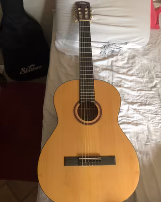 Chitarra Shiver