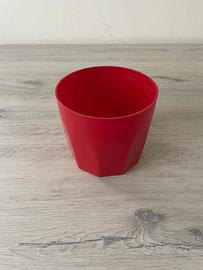 Coprivaso rosso