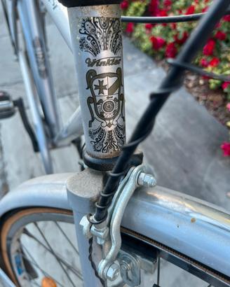Bicicletta da passeggio