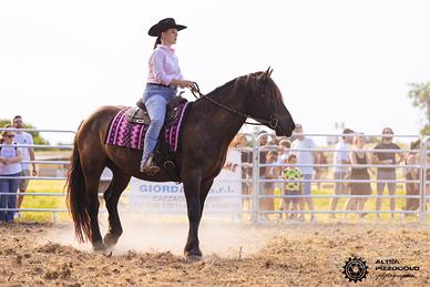 Cavallo Noriko 7 anni