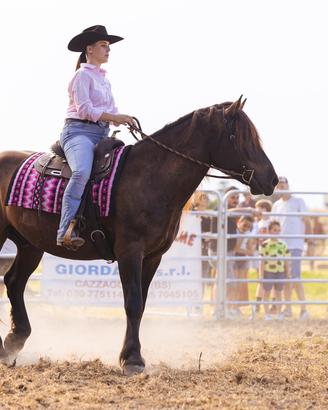 Cavallo Noriko 7 anni