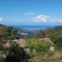 Vendita terreno con rustico