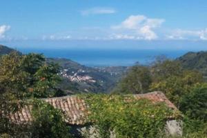 Vendita terreno con rustico