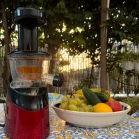 Estrattore di succo “Howell” modello slow juicer