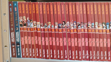 Fairy Tail serie completa 1-63