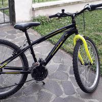 Bicicletta 25"