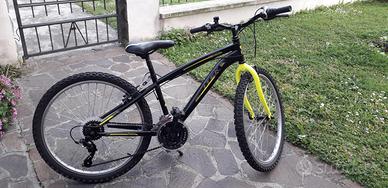 Bicicletta 25"
