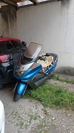 Villafranca di Verona