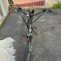 Bicicletta elettrica