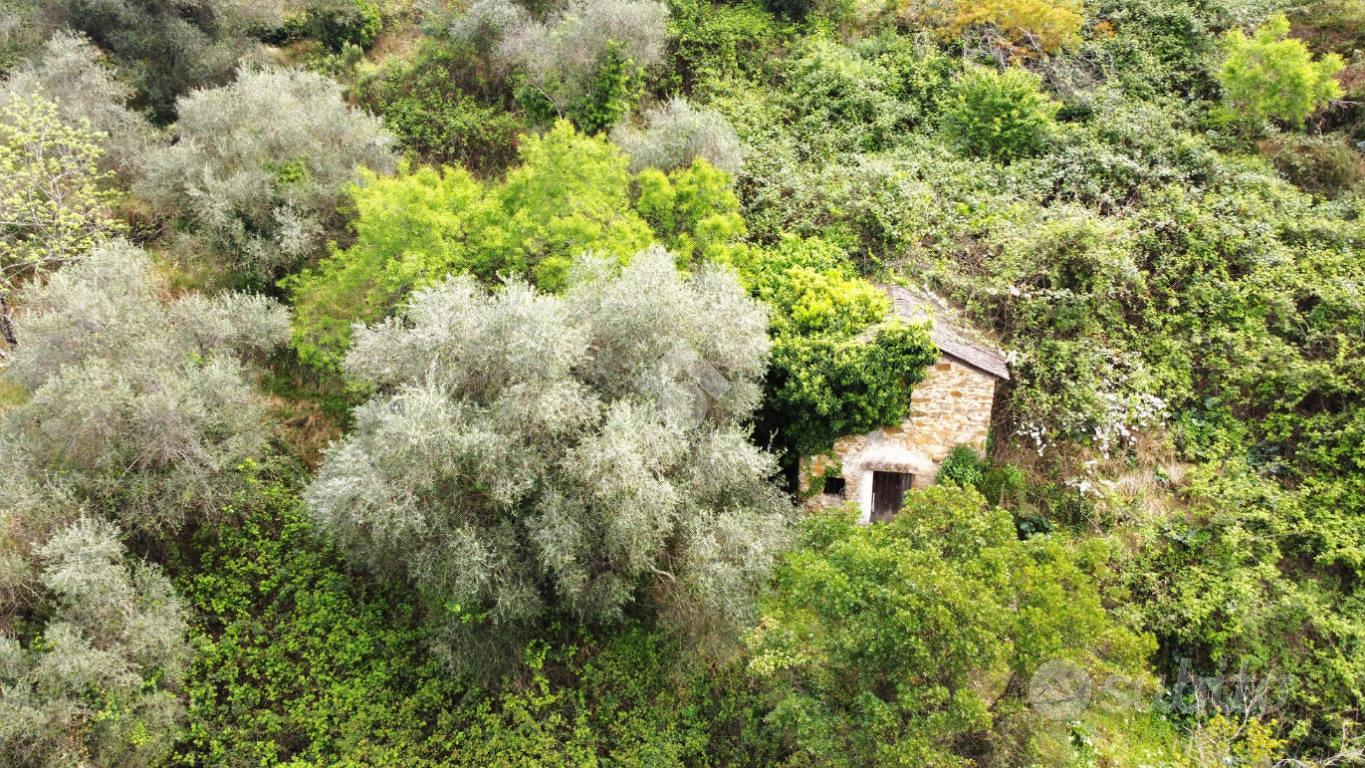 RUSTICO A VALLEBONA - Vista 3