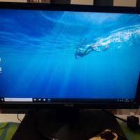 Schermo LCD Acer 19 pollici