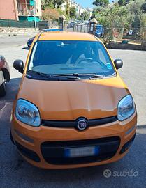 Fiat Panda 1.2 Pop