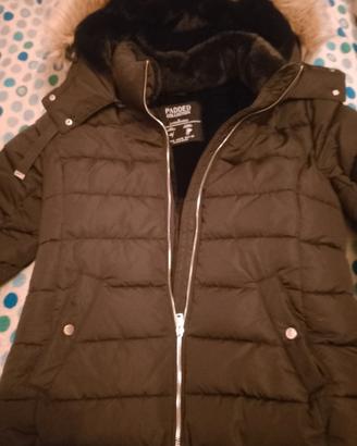 stradivarius xl