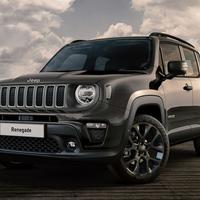 Portiere jeep renegade new