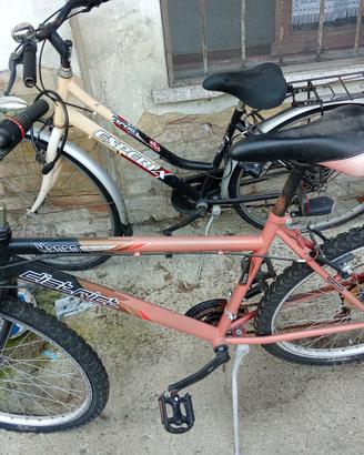 bici 1 da Donna.,l altra  Unisex.