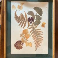 Vassoio vintage foglie secche