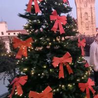 Albero di Natale da esterno