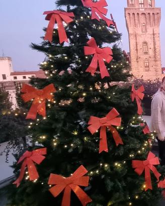 Albero di Natale da esterno