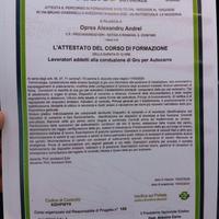 Autista
