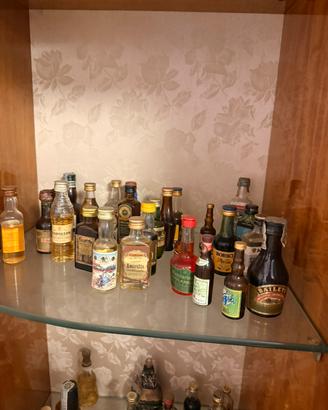 Collezione bottigline liquori