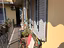 Immagine 9