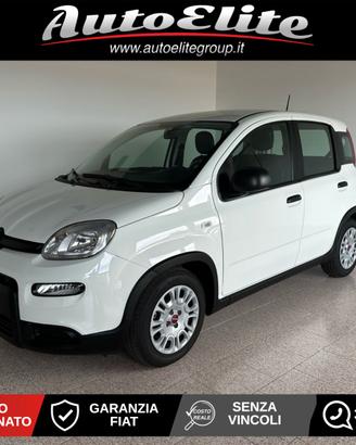 Fiat Panda 1.0 Hybrid – 2024 - NESSUN VINCOLO
