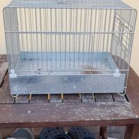 gabbia per cocorite