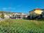 Immagine 21