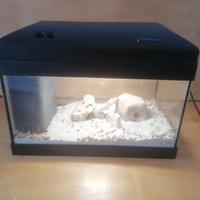 Acquario da 30L