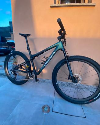 Specialized epic sworks wc L