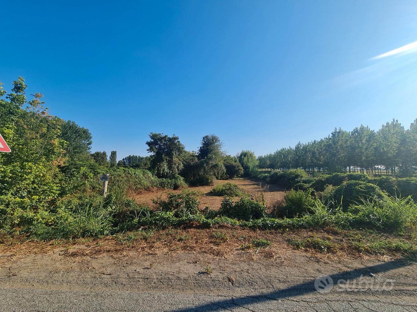 Terreno edificabile non urbanizzato - Vista 5