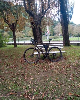 Bici gravel