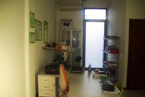 Immobile di 30 m² con 1 locale a Montevarchi