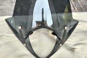 Cupolino Honda Hornet