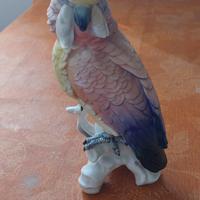 Scultura porcellana Pappagallo Karl Ens Germany