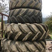 Gomme trattore forestali