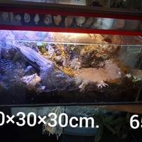 Terrario