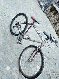 Mountain bike