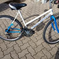 muntan bike bicicletta 