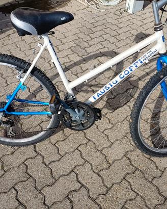 muntan bike bicicletta 