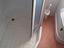 Immagine 14