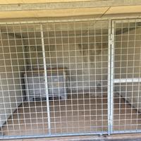 Box per cani