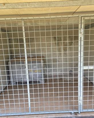 Box per cani