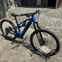 Raymon E-bike trailray