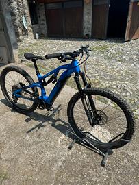 Raymon E-bike trailray