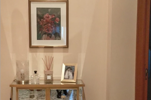 Libera casa dal 1 gennaio 2026