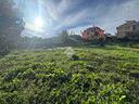 ter-agricolo-a-monterotondo