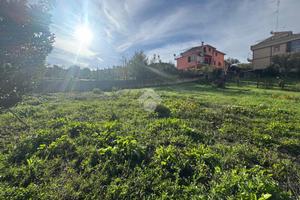 TER. AGRICOLO A MONTEROTONDO